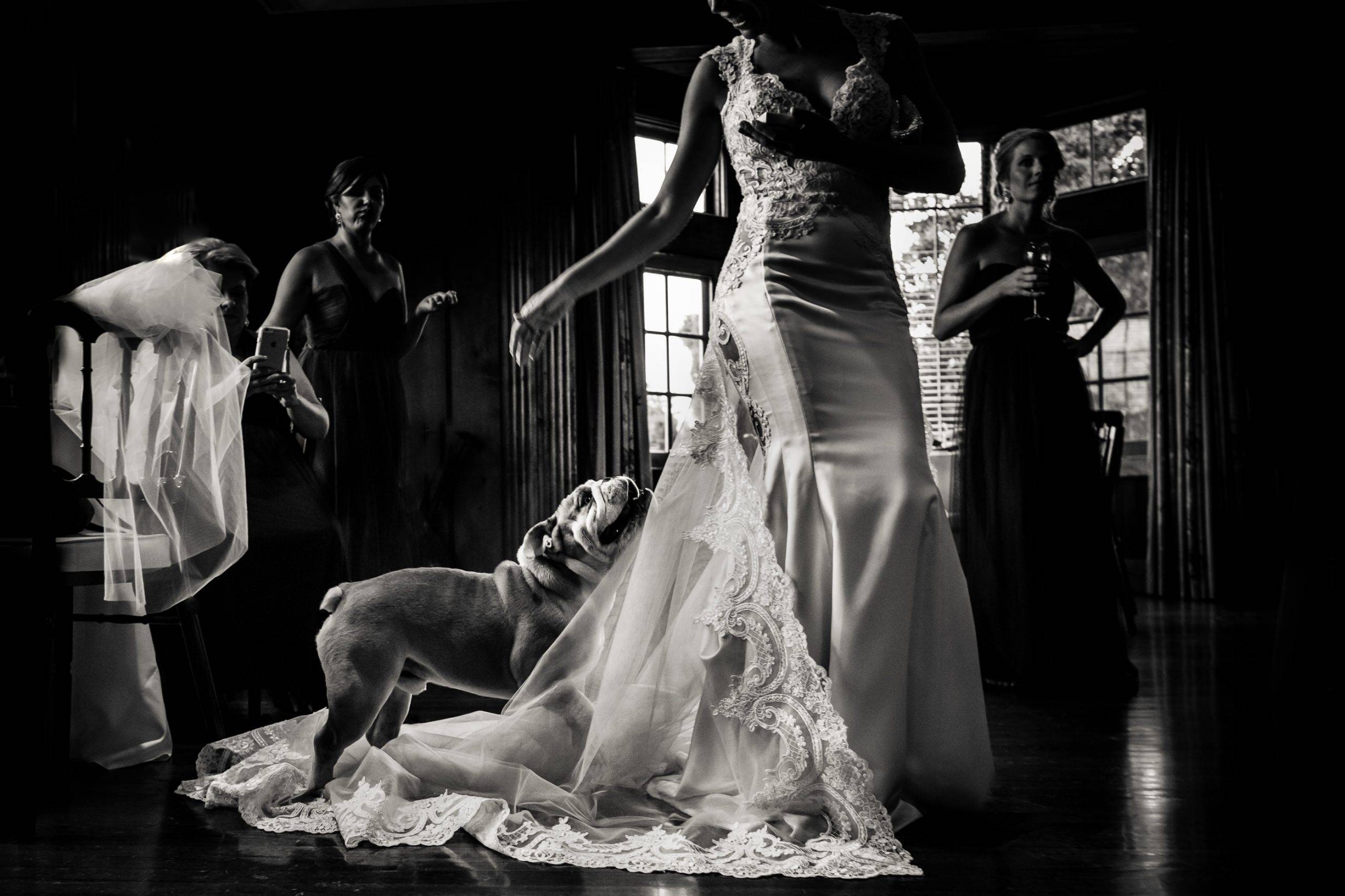 12-JAG-Studios-Photographer-New-York-wedding - HPSS - 20