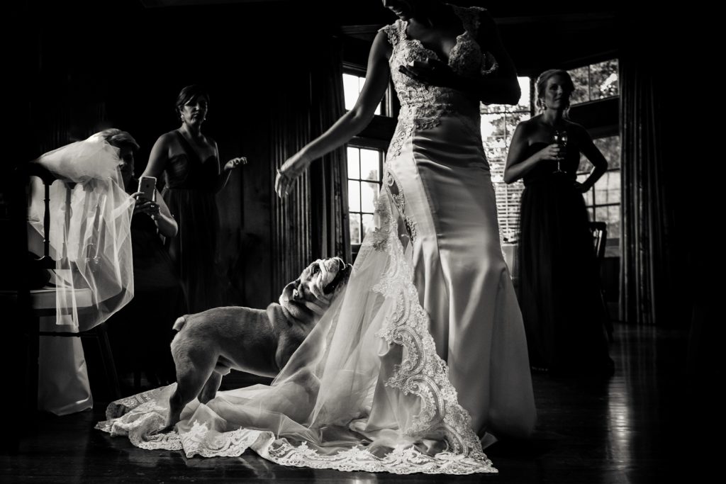 JAG Studios Photographer New York