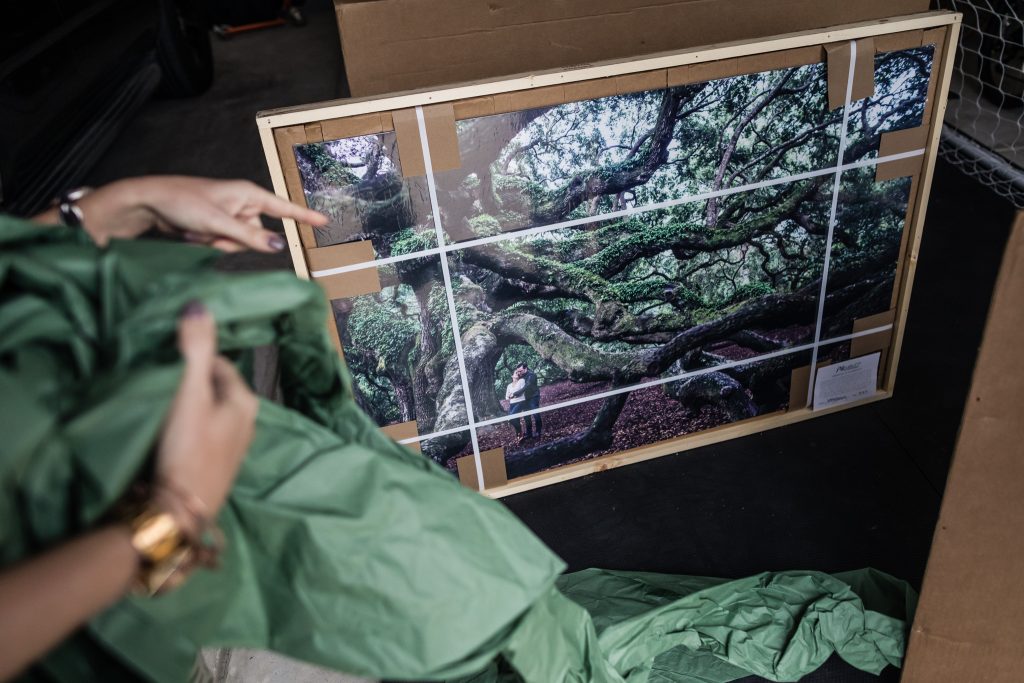 A person points at a framed photograph of a sprawling tree with thick, twisted branches, lying on the floor and partially wrapped in green packing material.