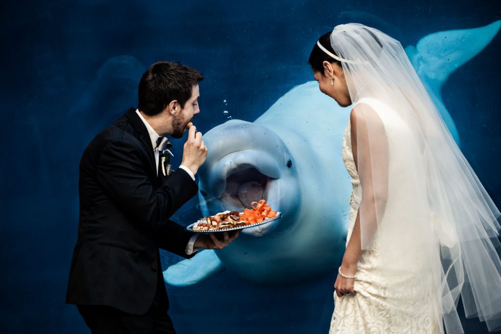 JAGstudios Photography | Natural CT Wedding | Mystic Aquarium Wedding