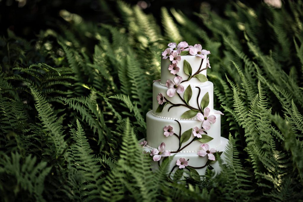 JAGstudios | Award Winning NY | CT Commercial And Editorial Photographer | Ana Parzych Cakes