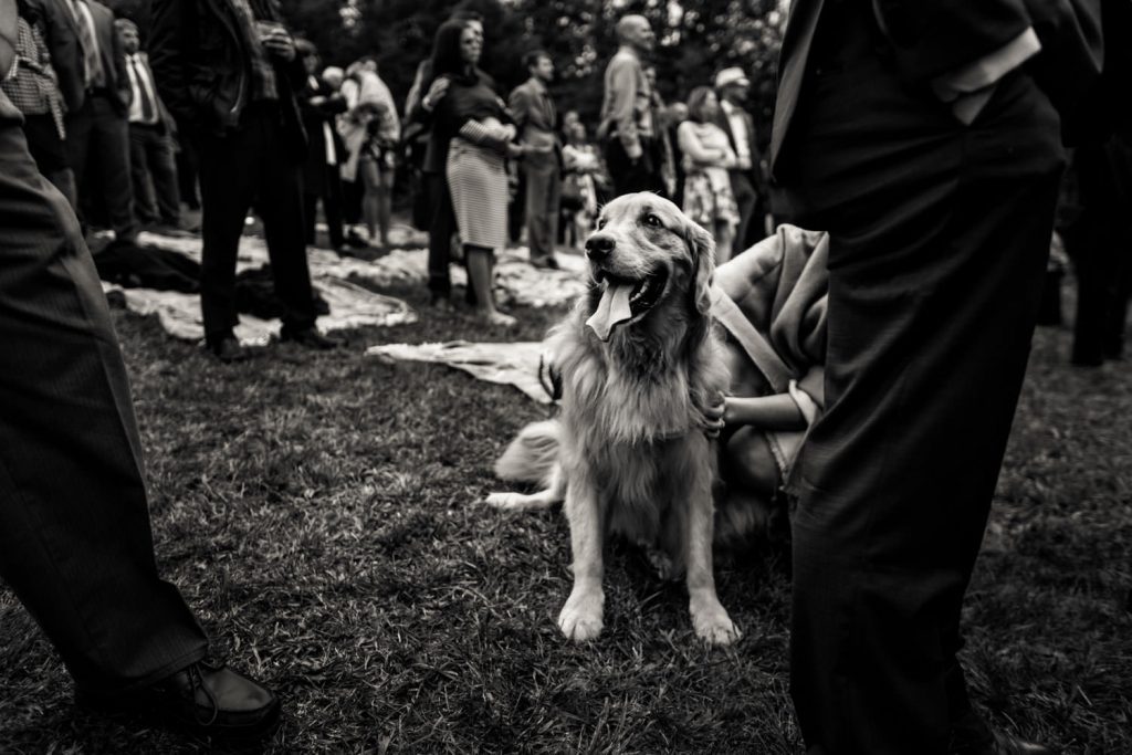 JAGstudios | Luxury Reading Farms Estate VT Wedding Photography