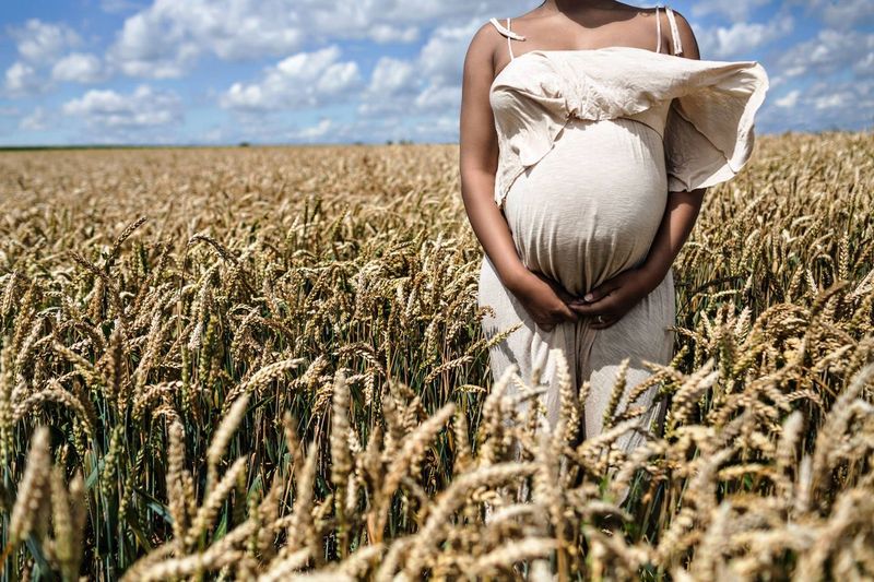A pregnant woman stands in a wheat field, gently cradling her belly. She is wearing a light-colored dress that billows in the breeze under a bright, cloud-filled sky. The golden wheat stretches out around her.