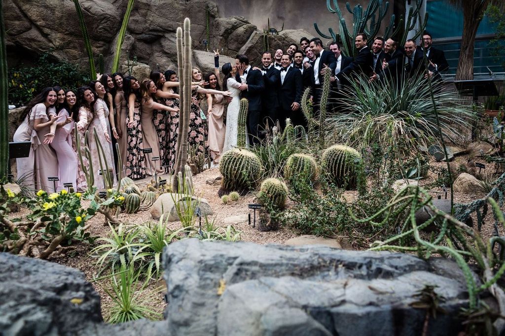 Capturing Details 02 A large wedding party in formal attire poses for a group photo among various cacti and desert plants in an indoor garden setting. The bride and groom stand in the center, surrounded by bridesmaids and groomsmen.